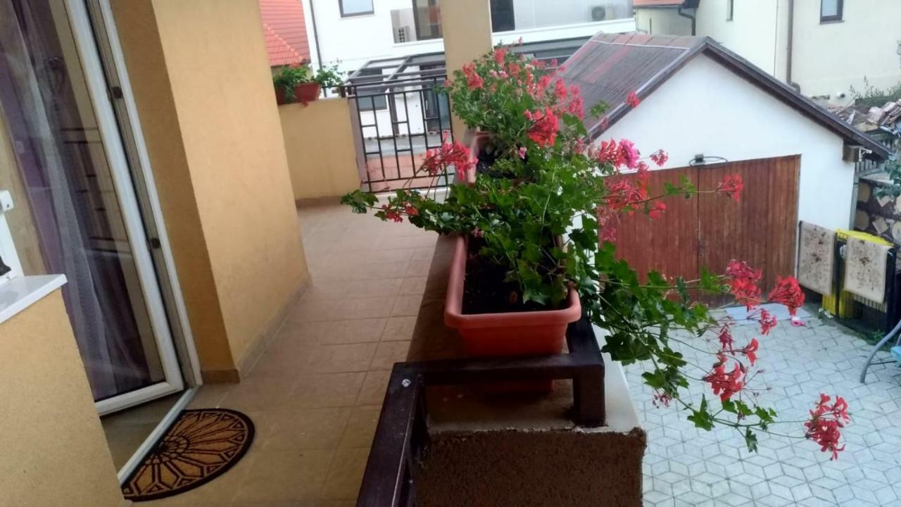 Sibiu 33 Hotel Exterior photo